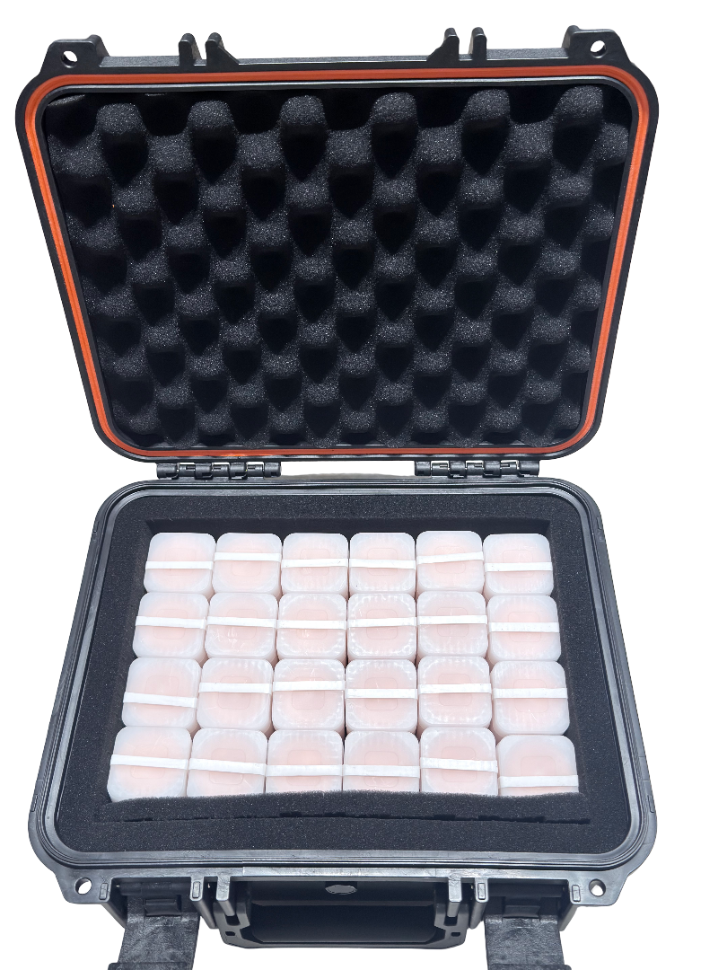 Foam-lined protective case for storing bullion coins and bars - Pure Bullion NZ