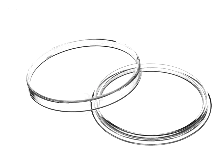 Clear coin capsule